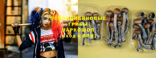 MDMA Premium VHQ Беломорск